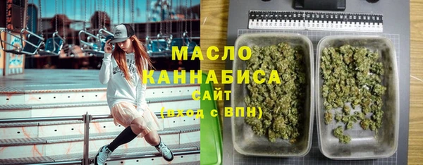 apvp Богородицк