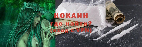 COCAINE Богородск